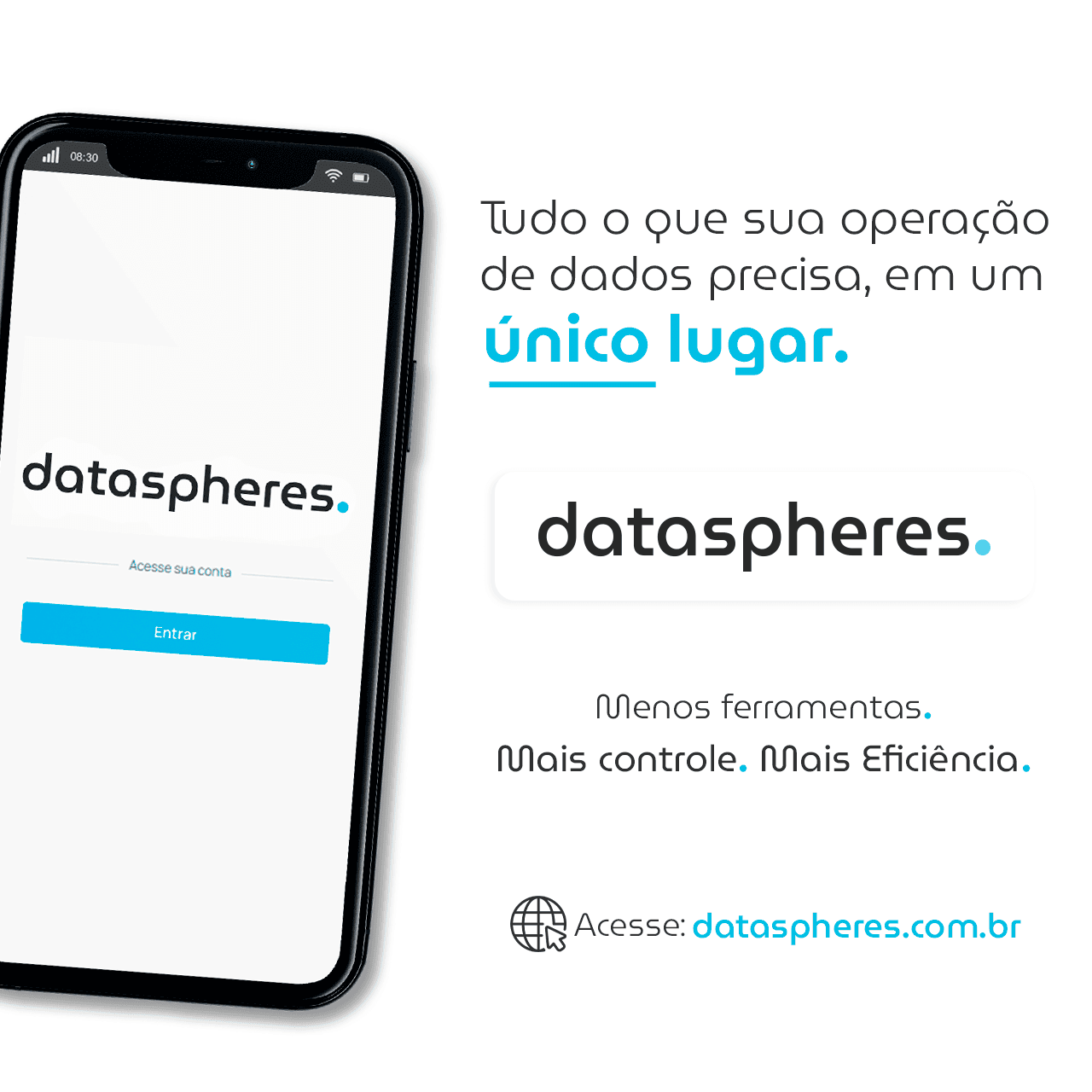 dataspheres - a plataforma de dados da datatchê